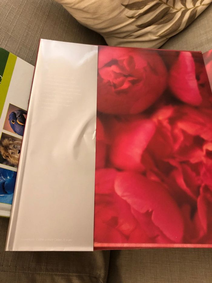 Miracle Anne gedes et Céline Dion - photo numéro 8