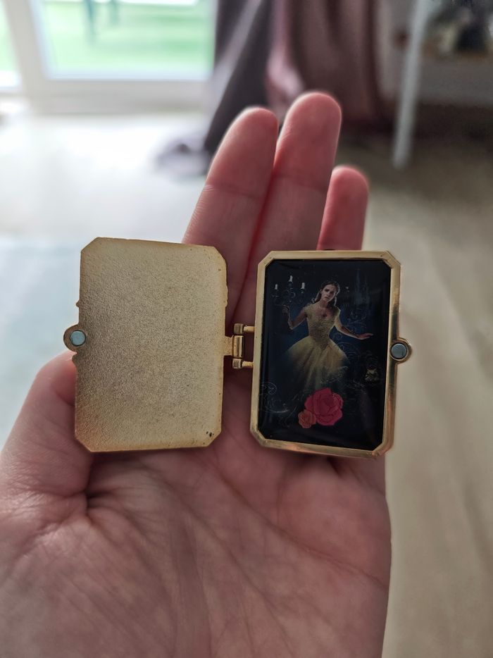 Pins la belle et la bête - photo numéro 2