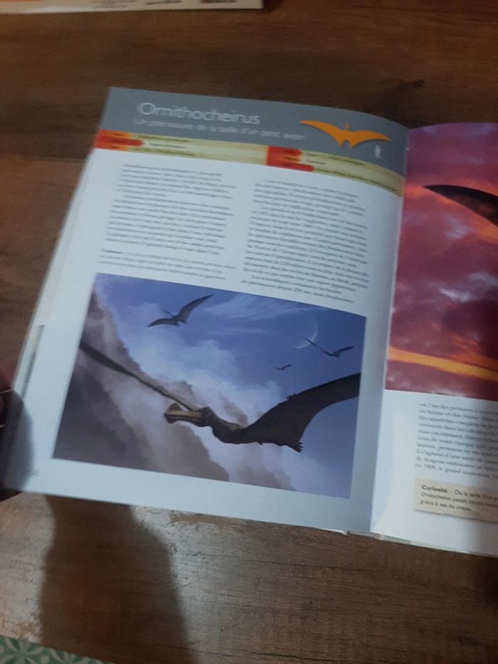 Grand livre Préhistoire des dinosaures aux premiers hommes - photo numéro 3