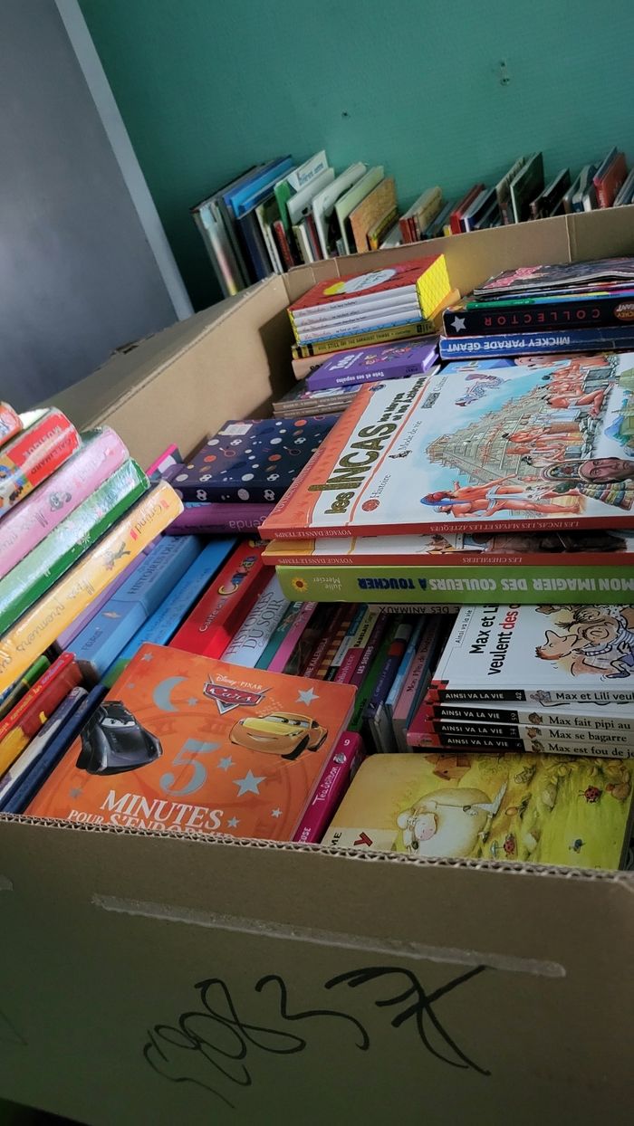 Livres jeunesses je vide les etageres bébé et jeunesses pour avoir de la place, à vos recherches - photo numéro 6