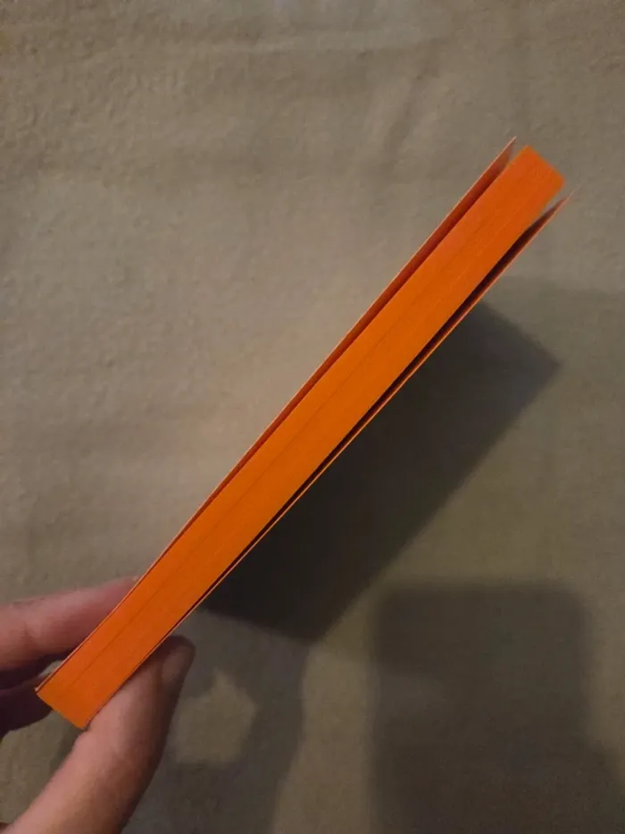 La Mythologie Viking – Neil Gaiman - photo numéro 3