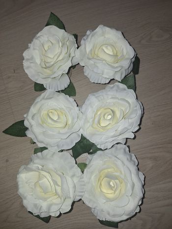 6 roses blanche a ventouse 13 cm de diamètre