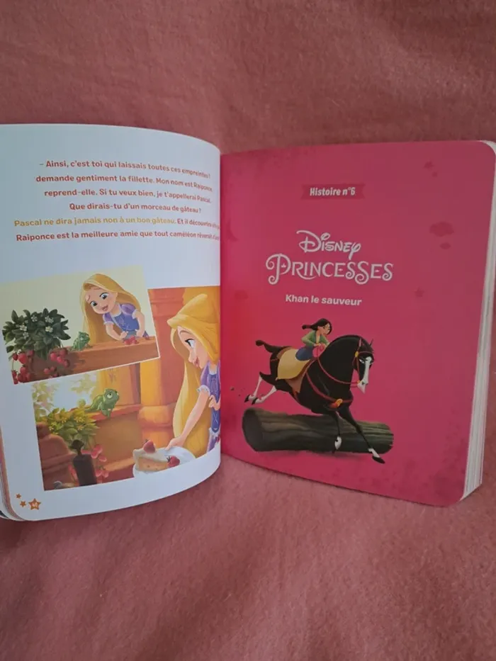 30 histoires Disney Princesses - photo numéro 5