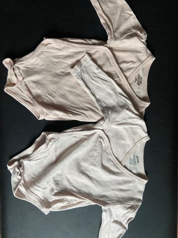 Lot 2 bodies