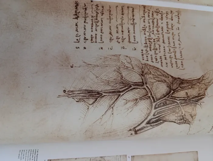 Livre de collection Léonard de Vinci "Tout l'œuvre peint et graphique" Taschen - photo numéro 9
