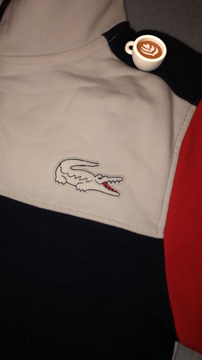 Gillet lacoste édition roland garros - photo numéro 5