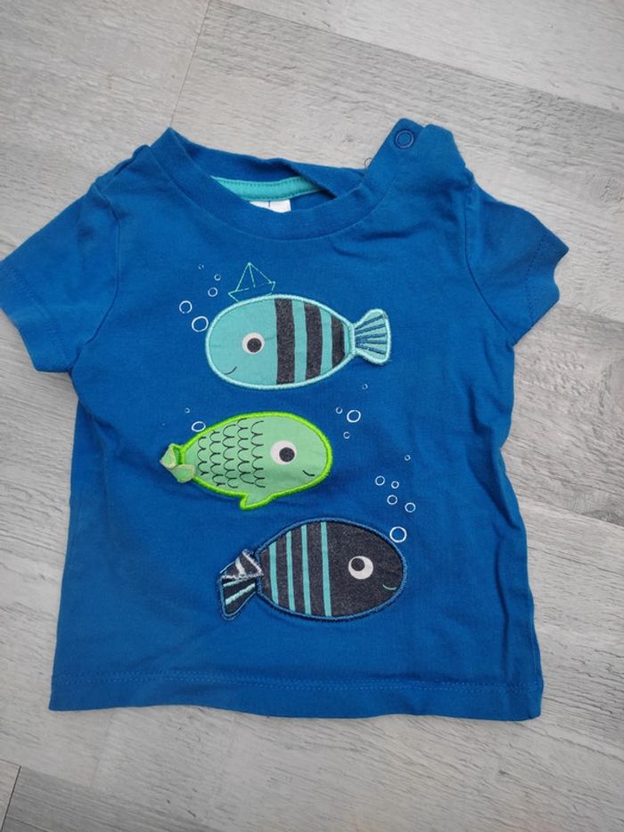 Ensemble poisson d'été - photo numéro 2