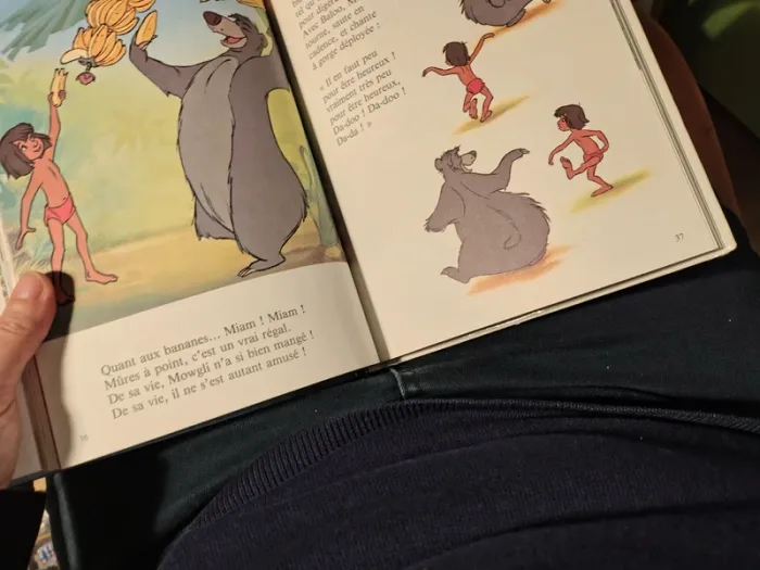 Le livre de la jungle livre Disney - photo numéro 3