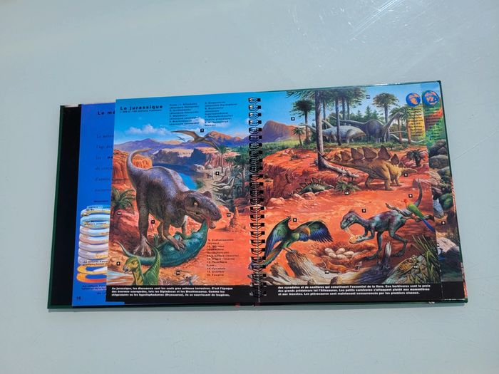 Livre animé de flaps Mi-oiseaux, mi-dragons, les dinosaures, Gallimard Jeunesse (47) - photo numéro 14