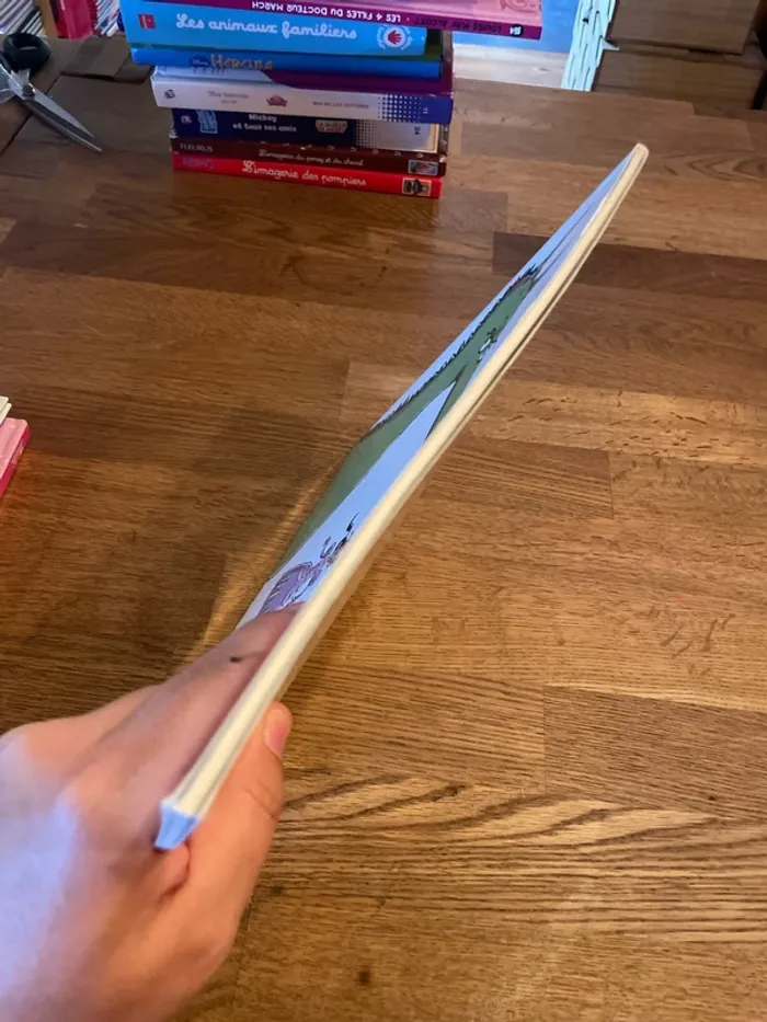 Livre L’école des Max Le prince le dragon et le chevalier intrépide - photo numéro 5