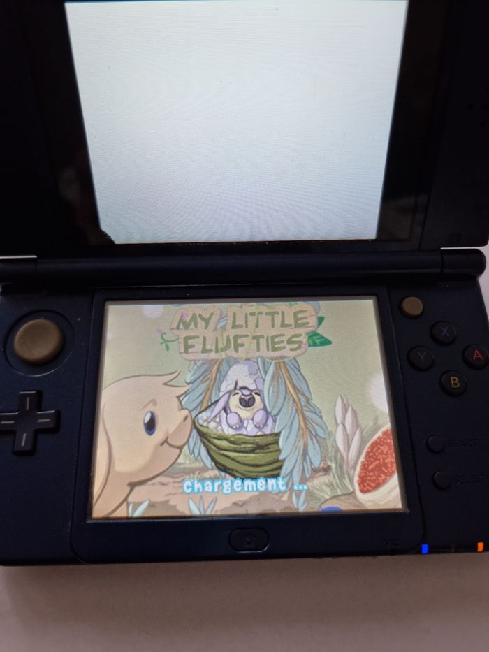 Jeu de Nintendo DS le monde des ronrons - photo numéro 6