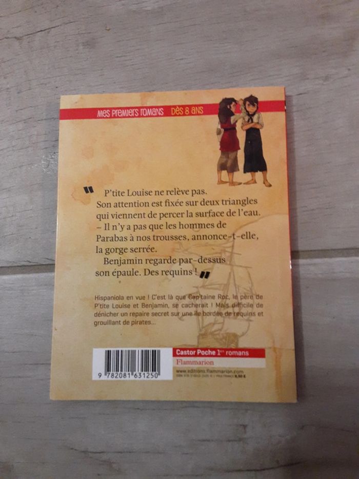 Pavillon noir - tome 3 - l’île aux requins - photo numéro 2