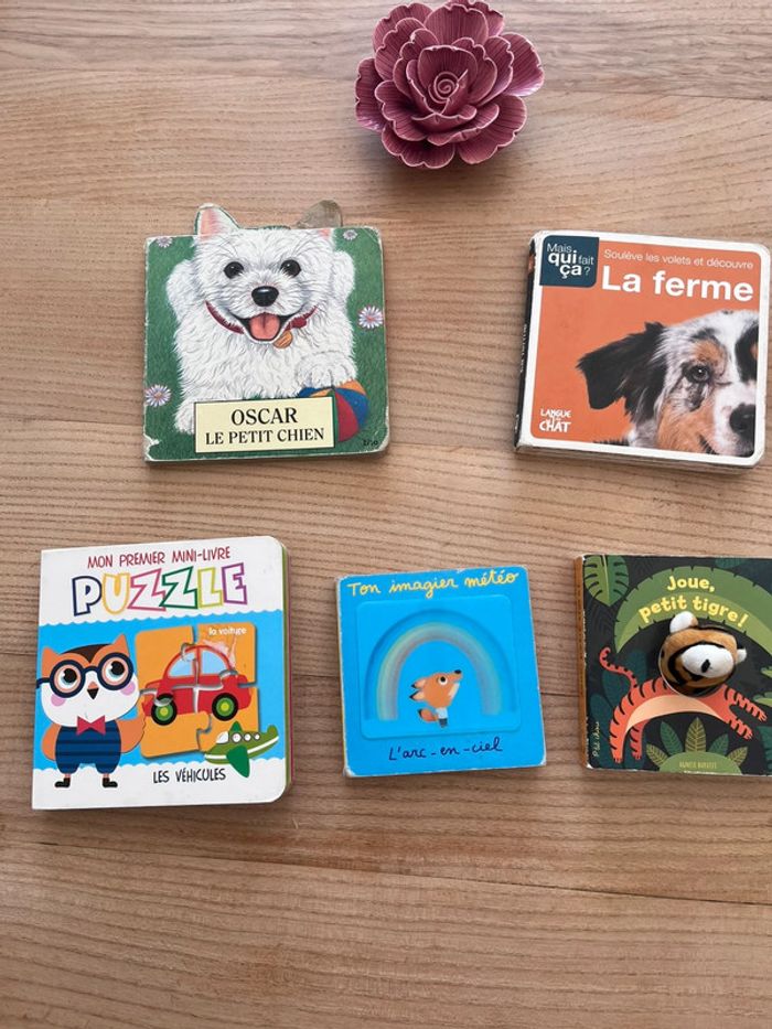 Lot de mini livres bébé