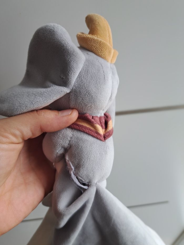 Dpudou dumbo - photo numéro 4