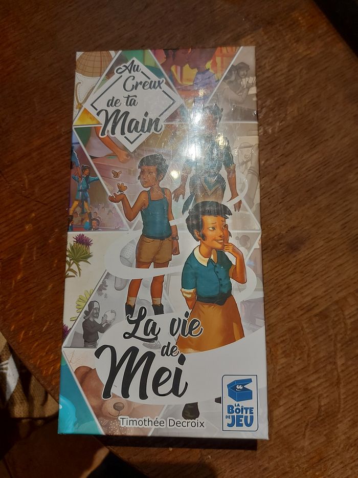 Le jeu au creux de ta main : La vie de Mei