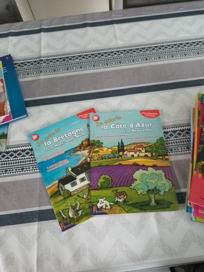 Lot livre de vacances