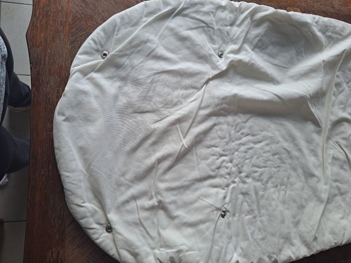 Gigoteuses - photo numéro 4