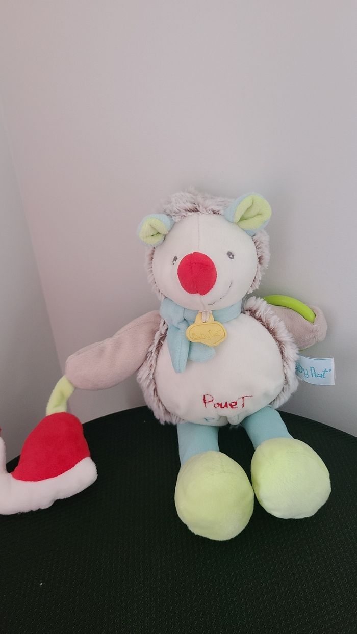 Hérisson - photo numéro 3