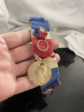Médaille Insigne Vintage Ministère du Travail 1992