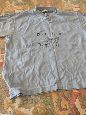 tee shirt garçon bleu dino 5 ans