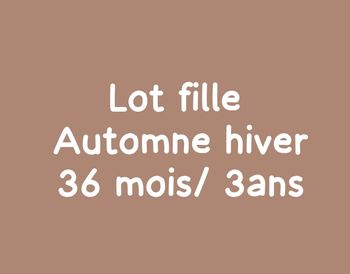 Lot automne hiver 3 ans fille
