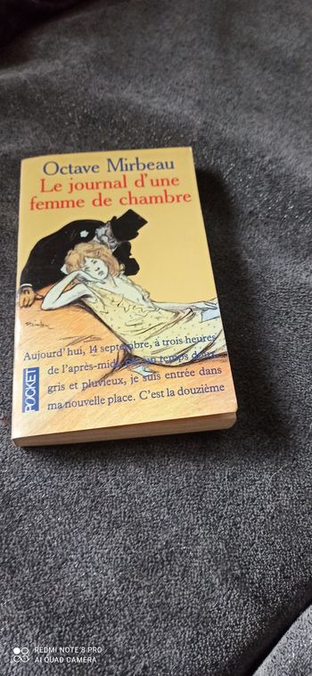 Livre le journal d une femme de chambre