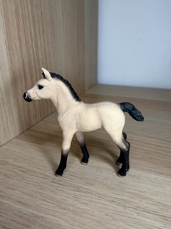 Poulain schleich arabe