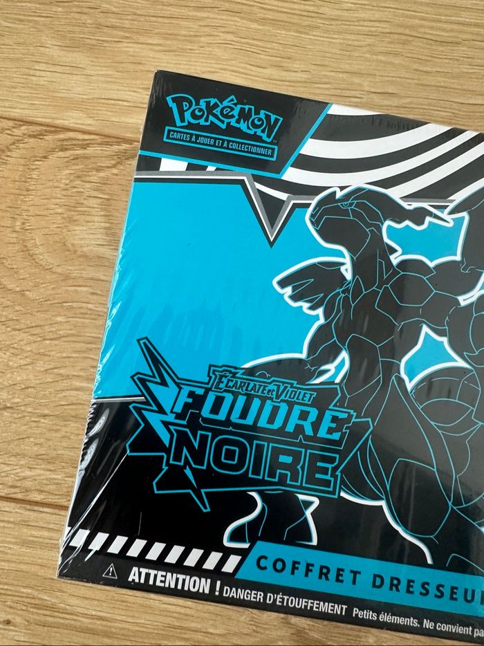 Etb foudre noire zekrom - photo numéro 2