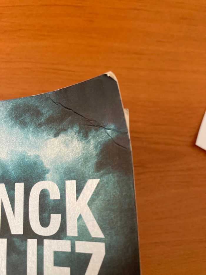 Le manuscrit inachevé - photo numéro 2