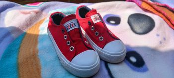 Basket Creek T25