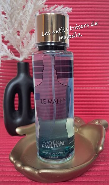 Brume corporelle 250ml  Le Male