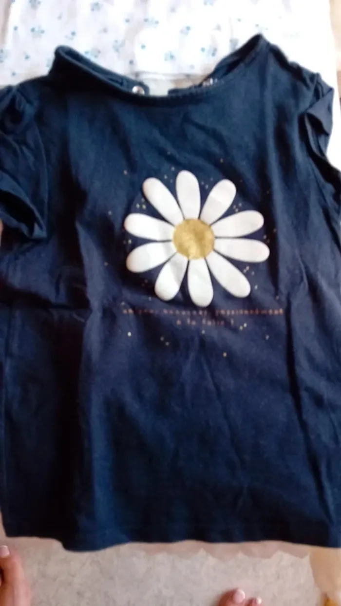 Lot Tee-shirt été 36 mois - photo numéro 5