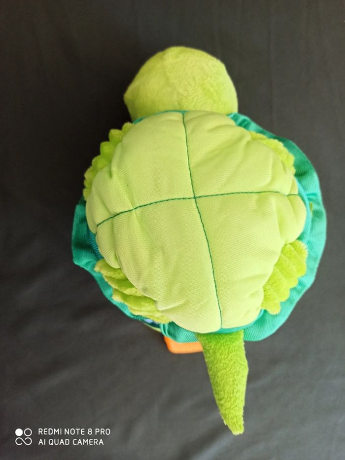Cache cache Tortue - photo numéro 8