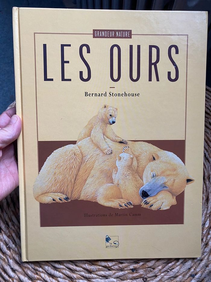 Les ours