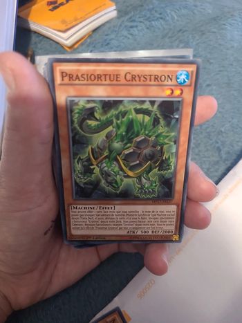 Carte prasiortue crystron