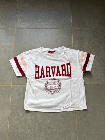 T-shirt Harvard blanc