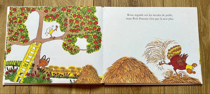 Mais où es-tu mon petit poussin ? - Livre 📕 - photo numéro 6