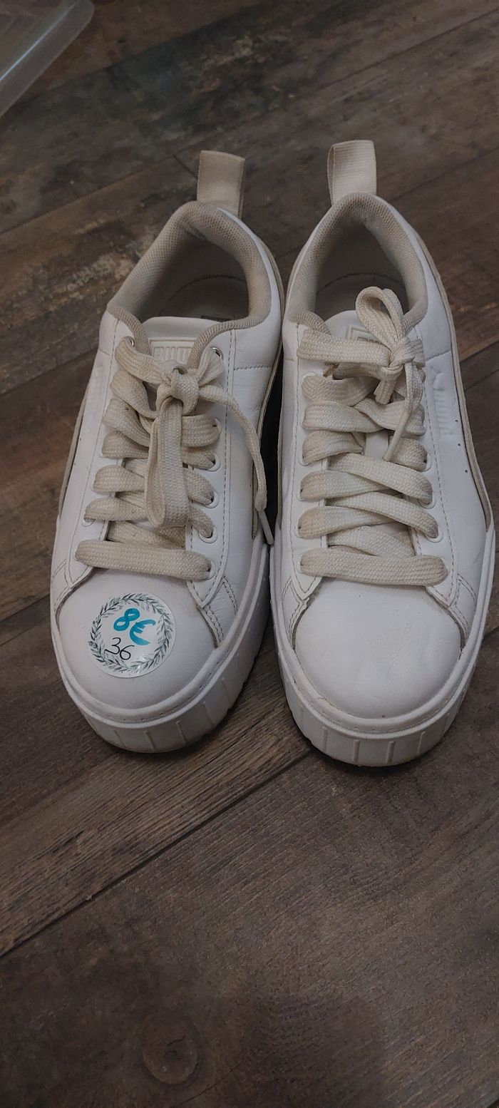 Puma 36 - photo numéro 2