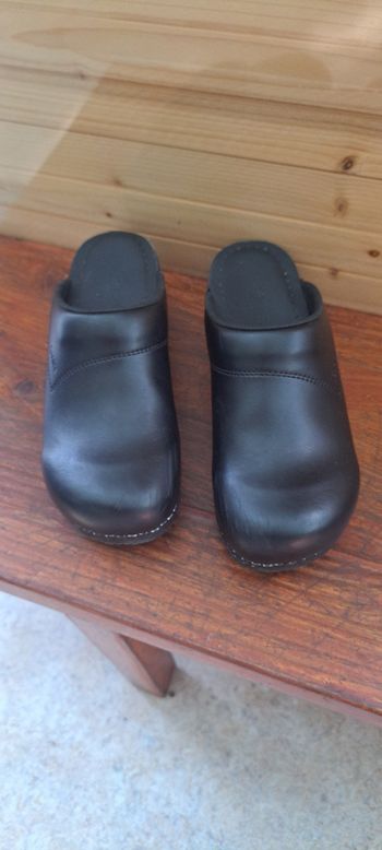 Sabot sanita