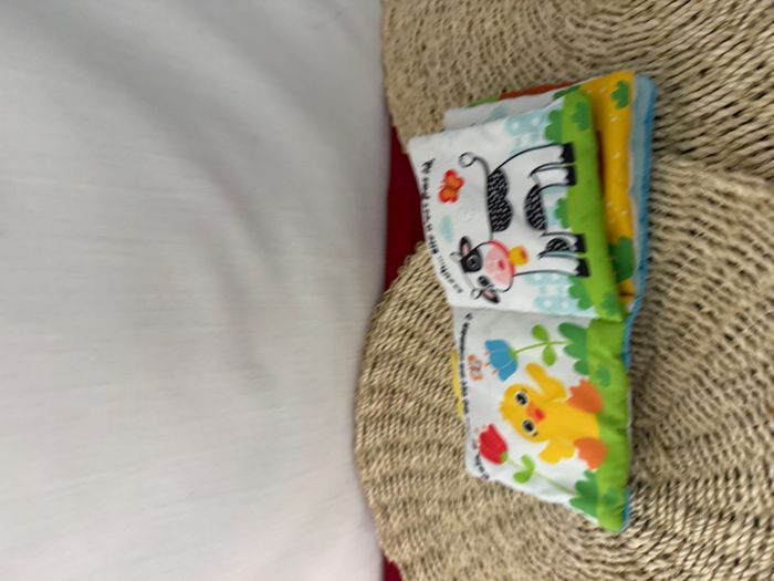 MON LIVRE TISSU A MÂCHOUILLER - PETIT CANARD - photo numéro 3