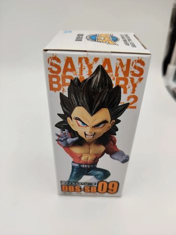 WCF Saiyans Bravery #09