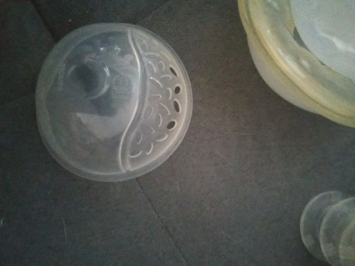 Coquille Recueil lait - photo numéro 3