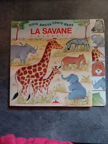 La savane