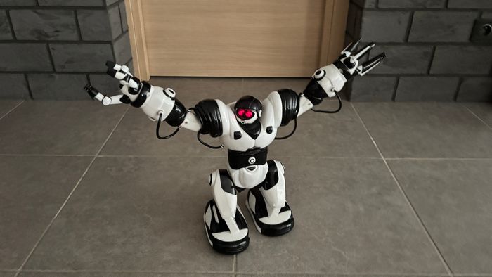 Robot Interactif - photo numéro 3