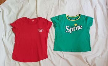 Lot 2 tee-shirt fille 12 ans