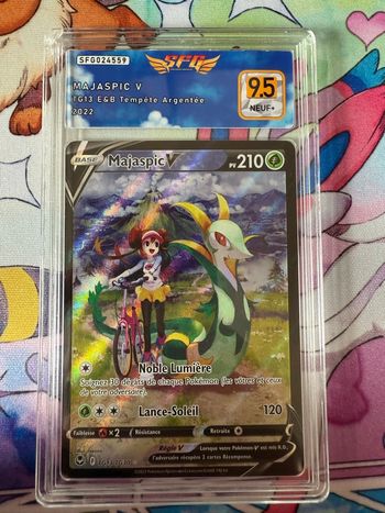 Majaspic V TG13/TG30