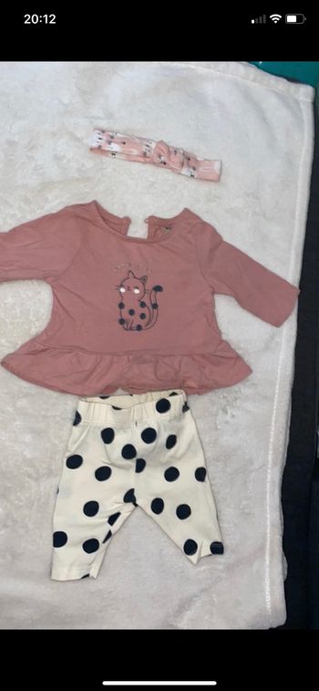 Ensemble chat 1 mois