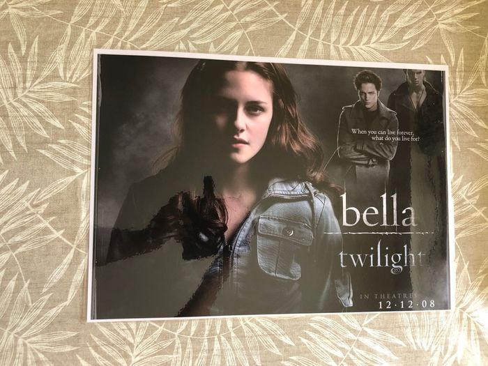 Lot affiches twilight - photo numéro 3