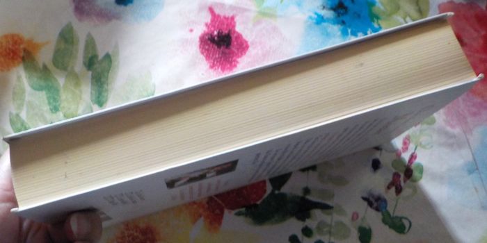 MOZART LE GRAND MAGICIEN de Christian JACQ Ed. Le Grand Livre du Mois - photo numéro 6