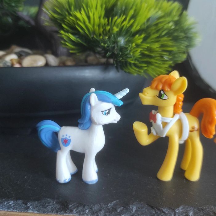 5 My Little Pony G4 blind bag Shining Armor Mr Carrot Cake Roseluck Applejack pepper dance - photo numéro 4